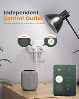Prise intelligente WiFi prise intelligente double prise Alexa/Google Home contrôle vocal minuterie Protection contre les surtensions IP11 10A 125V