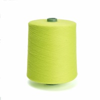 Dyed 16s 21s 30s 32s 40s Spun Yarn China Manufacturers Spun Polyester Yarn for Knitting Socks
