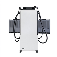 Prix d'usine – Station de recharge rapide DC extérieure CCS2 Chademo pour véhicules électriques 80kW-320kW OCPP 1.6 IP54 – Chargeur commercial sur pied