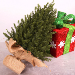 Trang Trí Cây Giáng Sinh 45/60/75CM Tùy Chỉnh Cây Giáng Sinh PE Nhân Tạo Trang Trí Nhà Cửa Tái <span class=keywords><strong>S</strong></span>ử Dụng Năm Mới 2023 - Product Image 4