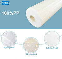 WIPEX Draps de lit jetables pour spa 180x80cm Couvre-lit pour spa Drap de lit de massage jetable avec trou pour le visage
