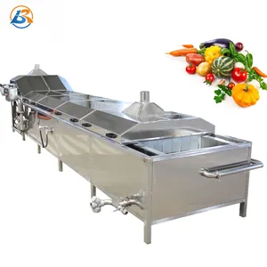 Industrial Automatic Fruit Vegetable Banana French Fries Potato Chips Steam Blanching Machine