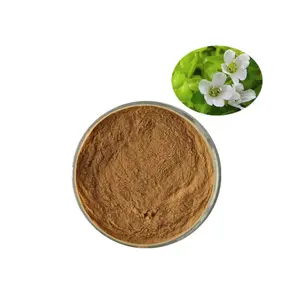 Top Quality Halal Bulk Price Factory Supply Saponin 50% Bacopa monnieri Extract Powder