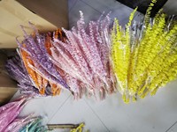 Grosir Tiongkok Buket Bunga Buatan Kering Tanaman Bunga Kering Warna Kayu Putih Diawetkan untuk Buket Bunga