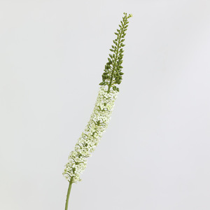 Fleur artificielle réaliste en vrac 2026, type Eremurus, tige de fleur de désert, faux lys queue-de-renard pour arrangement floral domestique - Product Image 6
