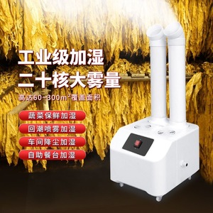 Industrial <b>Humidifier</b> 10L+ Tank Ultrasound Large Mist Output For Workshop Vegetable Preservation Commercial Use - Product Image 1