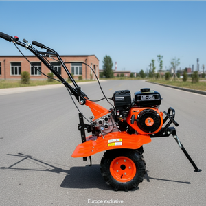 Motoculteur à essence 7HP TL500GY Euro V certifié CE, largeur 900-1050mm, léger, faible bruit, pour jardin <span class=keywords><strong>potager</strong></span> domestique, France. - Product Image 1