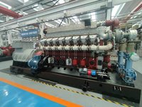 Dynamischer 300kW Gasmotor Gasgenerator für Stromaggregate