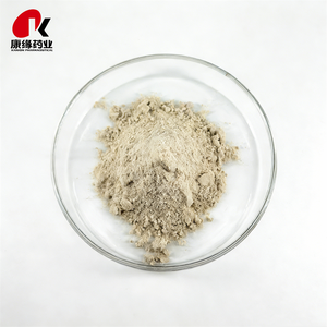 Poudre de coques de graines de psyllium naturel en gros, Plantago Ovata, 99 % de fibres de coques pures pour aliments et boissons <span class=keywords><strong>sans</strong></span> <span class=keywords><strong>gluten</strong></span> - Product Image 1