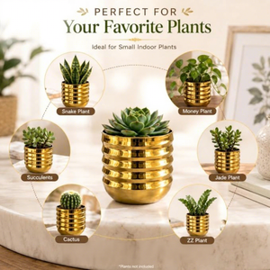 Pot de fleurs circulaire de luxe moderne plaqué or pour plantes succulentes, à poser sur le bureau - Product Image 3