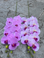 Vente en Gros Blanc Rose Orange Real Touch 3D Orquideas Latex Cymbidium Fleurs Artificielles Orchidée Cymbidium Phalaenopsis Fleur