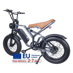 EU US Warehouse 20 pollici E Bike 7 velocità Fat Tire Step Through Bicycle 250w 500w 750w 48V bicicletta elettrica per donna uomo