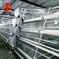 Jaula Avanzada YiFeng de Nueva Generación para Gallinas Ponedoras, de Alambre de Acero de Bajo Carbono, Modelo YF-A120/YF-A160, Fabricada en Henan, China