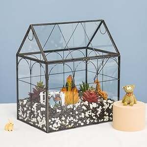 Terrario de Vidrio Transparente, Recipiente Decorativo para Plantas de Interior, Suculentas, Plantas Aéreas o Decoración de Jardín en Miniatura - Product Image 1