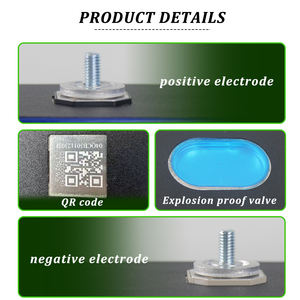 Batteries au lithium-ion prismatiques rechargeables SelianEnergy UAS EU EVE MB56/MB31 3.2V 314ah/628ah Lifepo4, services <span class=keywords><strong>de</strong></span> réparation en Pologne - Product Image 4