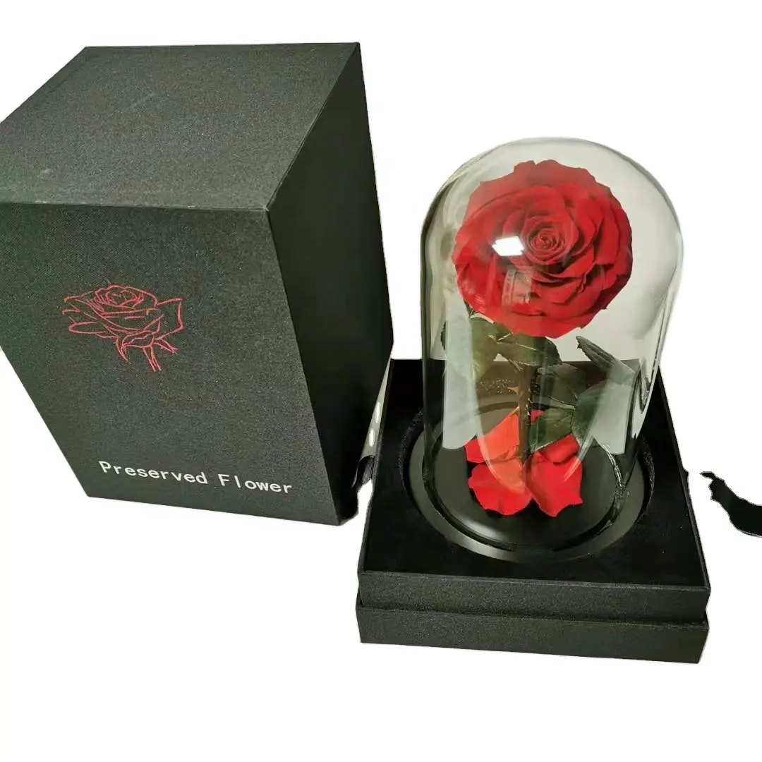 Liebe ewig stabilisierte konservierte Rosen in Glasröhren Kuppel für Valentinstag