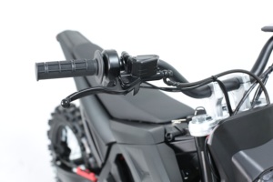 Motocicleta Todoterreno de 2000W para Adultos, Motocicleta Todoterreno para Jóvenes - Product Image 5