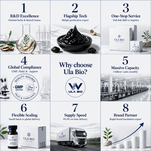 Fórmula Especializada para la Limpieza de <span class=keywords><strong>Candida</strong></span> en Adultos, Ácido Caprílico, Aceite de Orégano, Probióticos para el Apoyo Inmunológico, Mercado Global B2B de Salud - Product Image 6