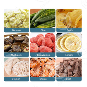 ORME commerciale latte liofilizzatore 60kg tassidermia liofilizzatore botanico macchina per liofilizzazione del seno - Product Image 6