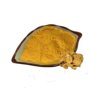 Supply Chinese Rhubarb Plant Rheum Palmatum Extract Powder Root Emodin