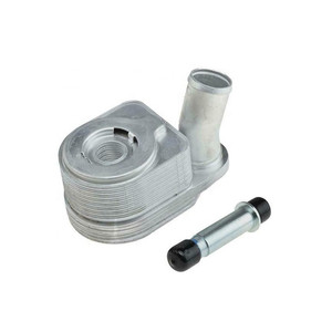 Enfriador de Aceite para Fiat Ducato 2.3 2011 504375360 F1AE3481B, Tamaño del Núcleo 10x8x6, Pieza de Repuesto Nueva - Product Image 1