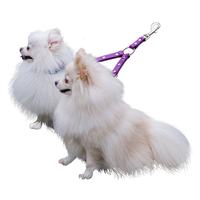 Laisse pour chien anti-emmêlement en caoutchouc TPU imperméable Happy Light pour plusieurs chiens