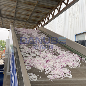 Leading Technology Complete Onion Dehydrator Production Line Onion Onion Slicing and <b>Drying</b> <b>Equipment</b> - Product Image 1