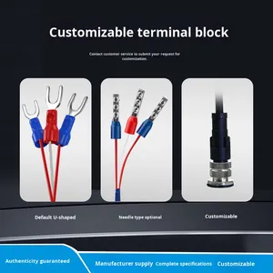 Hoogtemperatuurbestendig platina thermisch element dompelsonde snelle respons voor ketel pijpleiding tank - Product Image 4