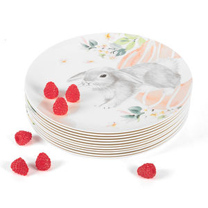 ברבור מסעדה סיטונאית צלחות מלמין פלסטיק 10 אינץ עגול ארוחת ערב סטים לשימוש פנימי וחיצוני - Product Image 4