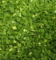 IQF — distributeur complet de frozen leek, vente en gros