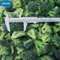 Broccoli Congelati IQF in Fioretti, Vendita all'Ingrosso, Qualità Premium, Prezzo di Fabbrica, Etichetta Privata, OEM, Standard Export, Fornitore B2B