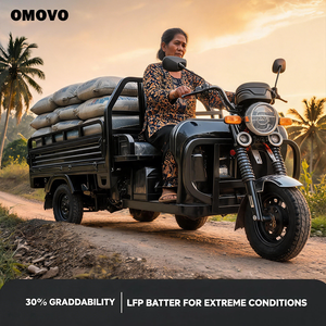 Tricycle Cargo Électrique OMOVO 2026 en Promotion – Approvisionnement Direct, Bon Prix, SKD CKD, Expédition en Conteneur - Product Image 6