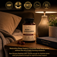 Bonbons gélifiés Premium Reishi Ashwagandha 60 unités Soutien immunitaire pour adultes Soulagement du stress Soutien du sommeil Formule adaptogène Pectine végétalienne