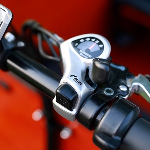 Vélo cargo néerlandais à 3 roues, tricycle électrique Bakfiets avec remorque - Product Image 2