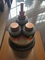 Cable de Alta Tensión de Tres/Núcleos Únicos, Aislado con Polietileno Reticulado XLPE, Revestido con PVC