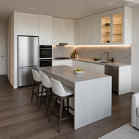 Gabinetes de Cocina Blancos Estilo Shaker de Calidad Profesional con Isla, Despensa y Módulos Preinstalados para Electrodomésticos para Construcción de Casas Nuevas