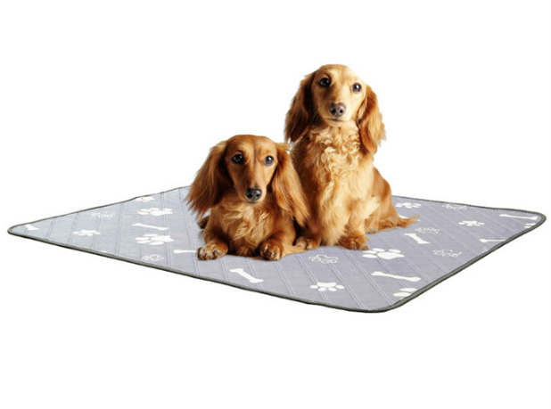 พิมพ์ลายกระดูก