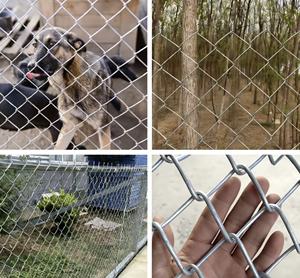 Direct uit de Chinese fabriek: gegalvaniseerd gelast gebogen zwaar kettingscherm, op maat gemaakt, 6ft, 8ft, 10ft hoogte, voor landbouwgrond, boerderij, binnenplaats. - Product Image 2