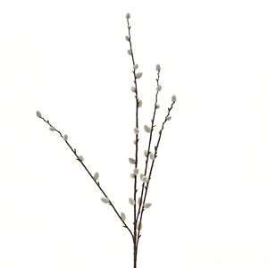 4 Stiele Künstliche Weidenzweige Dekorative Zweige für Frühlings-Blumenarrangements und Dekoration - Product Image 5