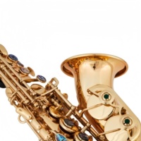 Profesional Brass Curved Bb Soprano Saxophone Gold Lacquer Surface Abalone Buttons Bakelite for Entertainment & Performance Use