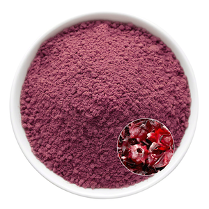Roselle toz ekstresi | <span class=keywords><strong>Hibiscus</strong></span> <span class=keywords><strong>Sabdariffa</strong></span> Calyces itibaren dondurularak kurutulmuş | Antosiyaninler açısından zengin - Product Image 2