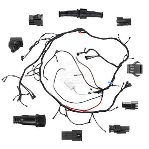 Individuelles Automobil-Batterie-Satz SM2.5 2P/3P Weiblich/Männlich mit Knopfleuchte-Schalter