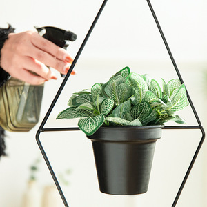 Pot de fleurs suspendu en fer forgé pour plantes succulentes, panier de plantation suspendu en fer - Product Image 2