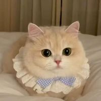 En gros, Bandanas triangulaires en polyester, accessoire de mode pour chiens et chats, avec imprimé hiver, motif chat, doux comme un coton, avec nœud décoratif