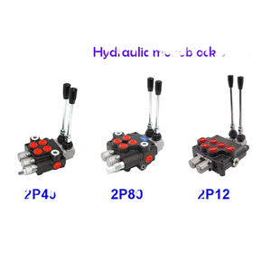 Válvula de Control Direccional Monobloque Hidráulica de 2 Bobinas P120-A1-GKZ1 con Retorno por Resorte |   Fabricante Directo de Fábrica y OEM/ODM - Product Image 3