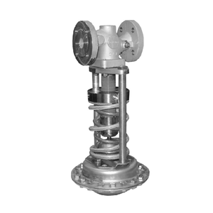 Contrôle 41-23 Réducteur 2412 avec actionneur à diaphragme 2413 - Product Image 3