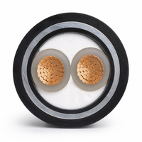 Câble d'alimentation blindé YJV22 2 conducteurs 35mm² 0,6/1kV, câble de distribution souterrain basse tension 2*35
