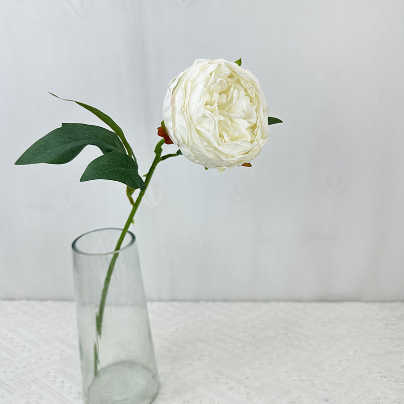 Blanco Cremoso 7