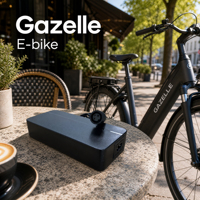 Chargeur de batterie au lithium universel Joyun CE KC SAA 120W 48V2A pour vélo électrique Gazelle E-bike