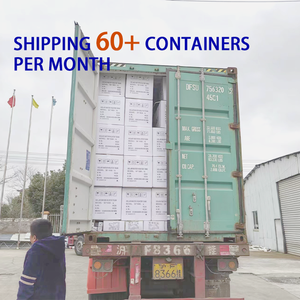 Calentador solar integrado, calentador de agua sin presión, sistema de géiser solar, 100L, 200L, 300L, acero inoxidable - Product Image 5